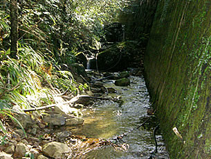 風景2