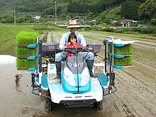 四万十のお米
